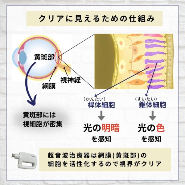 クリアに見える仕組み